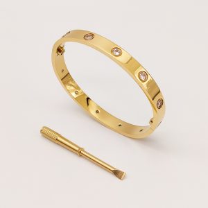 Basic Designer Jewellery LOVE Screw Bracelet with Screwdriver – Gold-Plated Stainless Metal Bangle